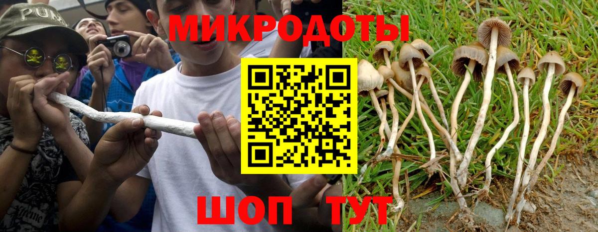 Псилоцибиновые грибы MAGIC MUSHROOMS Владивосток