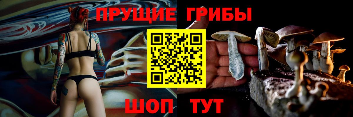 Псилоцибиновые грибы мицелий  Вход с VPN  Галлюциногенные грибы мухоморы  Владивосток 